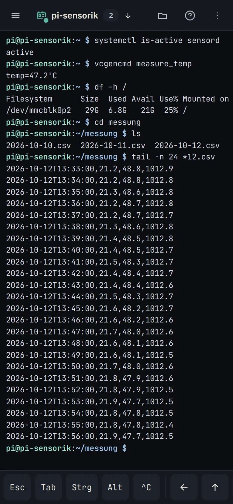Terminal auf dem Telefon mit Tastenleiste für Esc, Tab, Strg, Alt und Pfeile